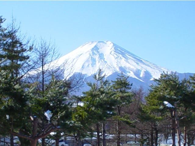 旅館 ふじとみた 忍野村 エクステリア 写真